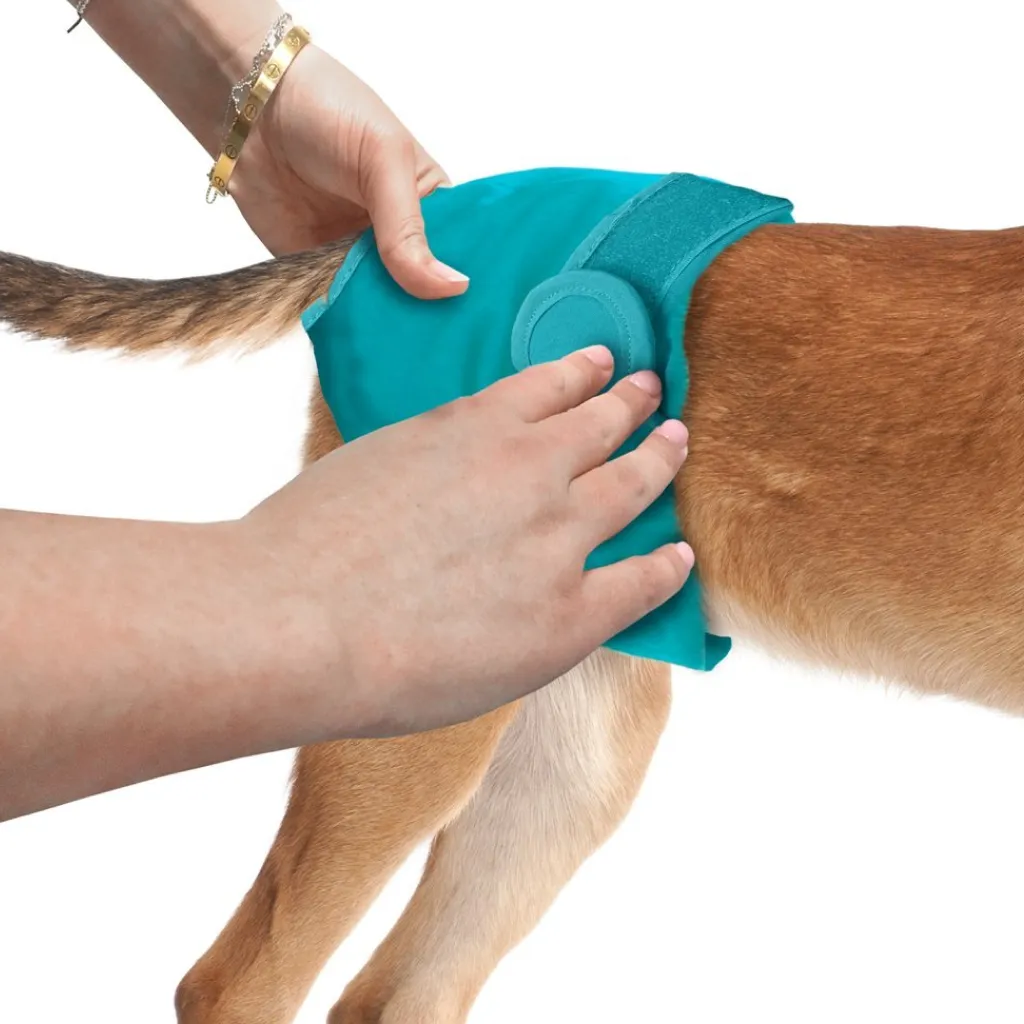 Simple Solution Washable Female Dog Diaper