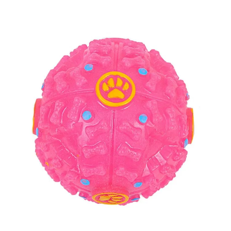 Sound Leakage Food Ball Toy