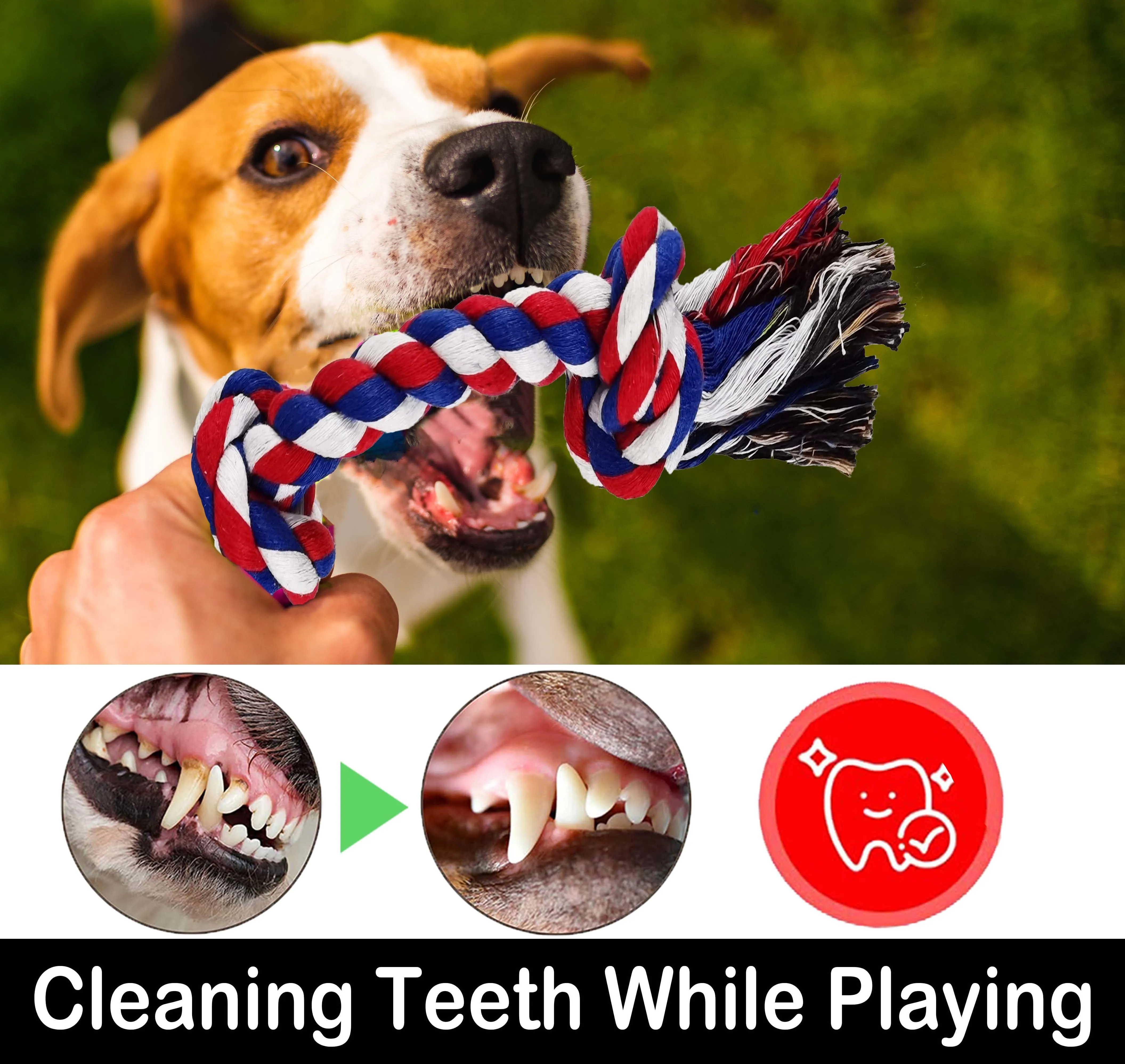 Ultimate Tug & Chew Dog Toy Set - Meet Rover's Playtime Pack!