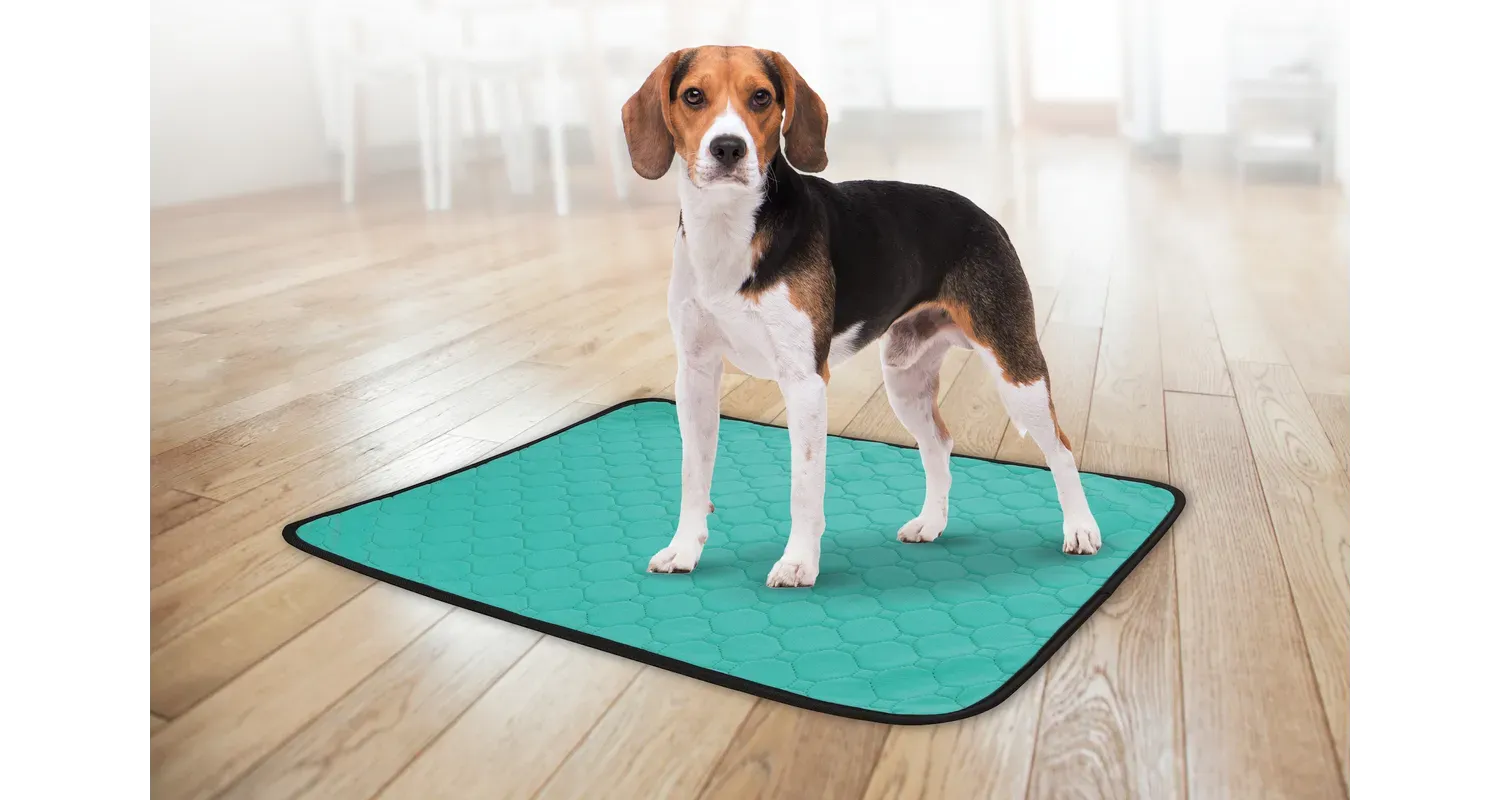 WASHABLE TRAINING PAD PATSY GREEN