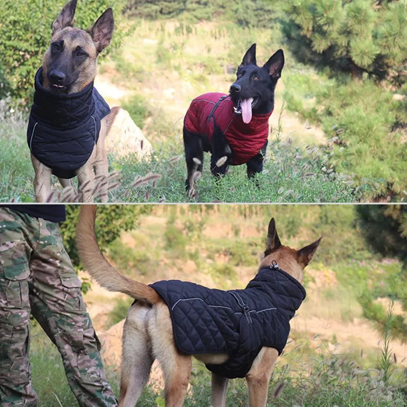 Waterproof Outdoor Dog Jacket - Windbreaker
