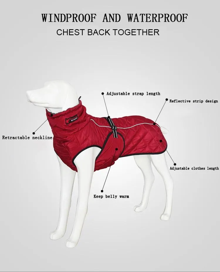 Waterproof Outdoor Dog Jacket - Windbreaker