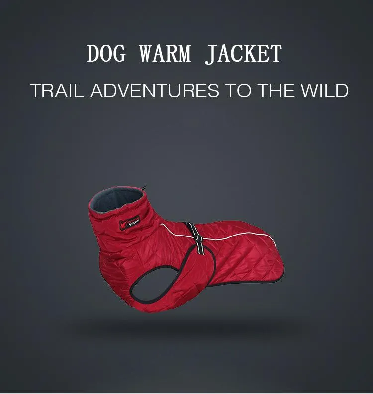 Waterproof Outdoor Dog Jacket - Windbreaker