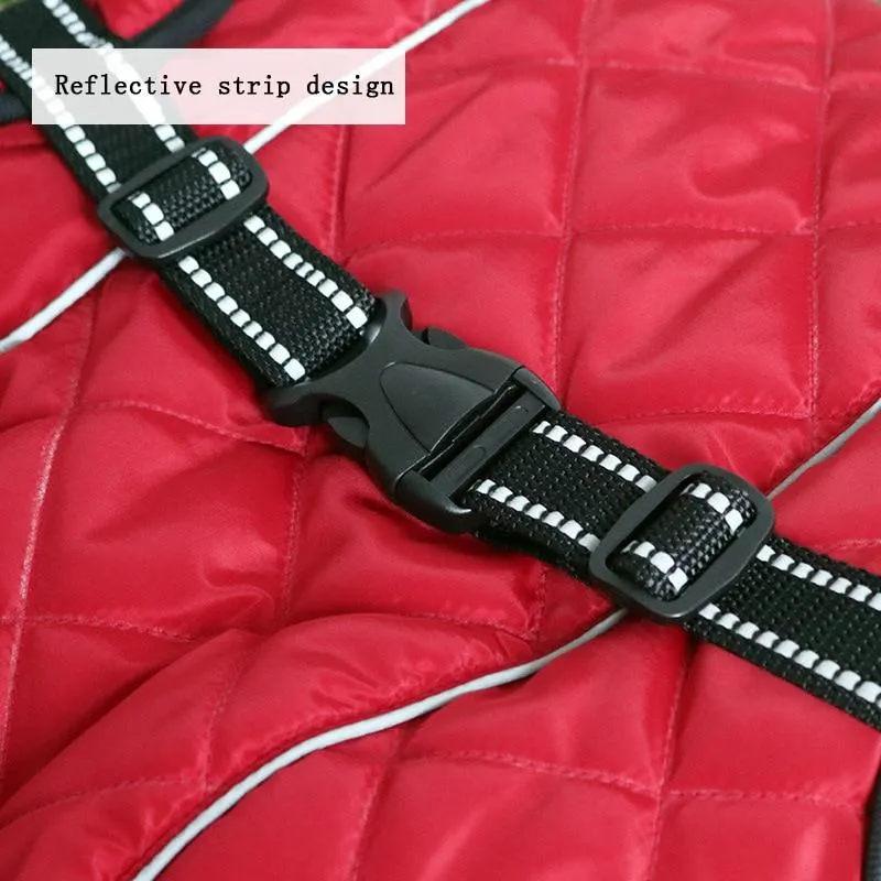 Waterproof Outdoor Dog Jacket - Windbreaker