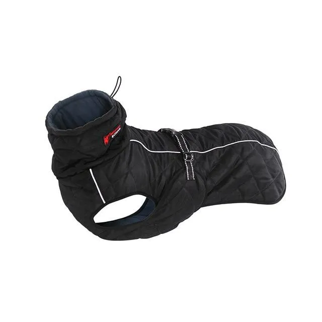 Waterproof Outdoor Dog Jacket - Windbreaker