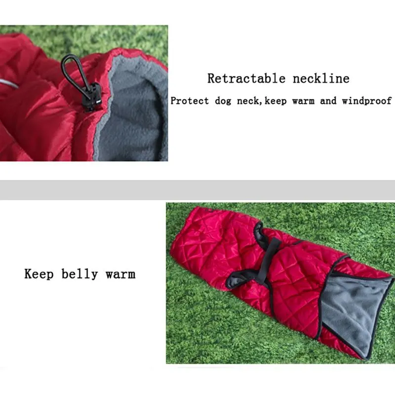 Waterproof Outdoor Dog Jacket - Windbreaker
