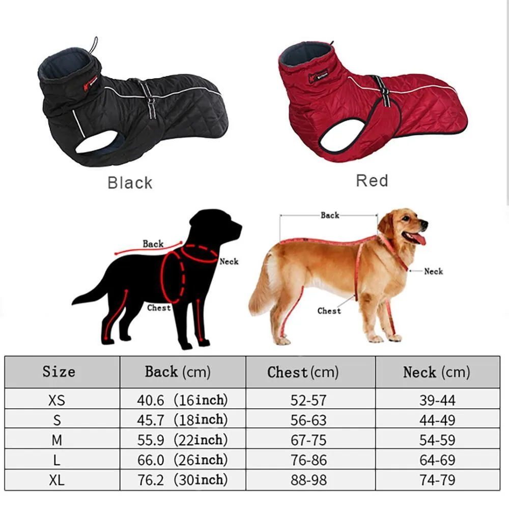 Waterproof Outdoor Dog Jacket - Windbreaker