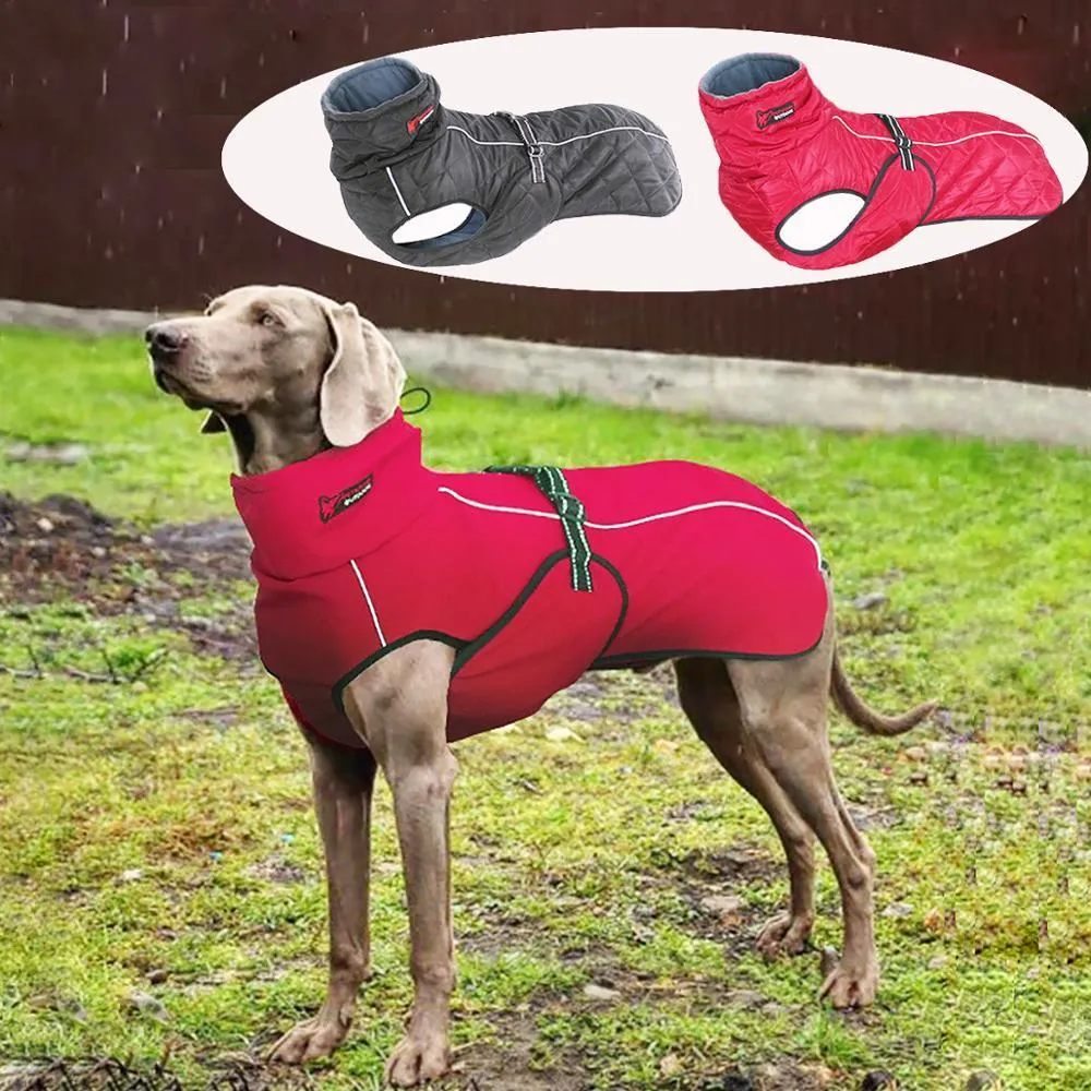 Waterproof Outdoor Dog Jacket - Windbreaker