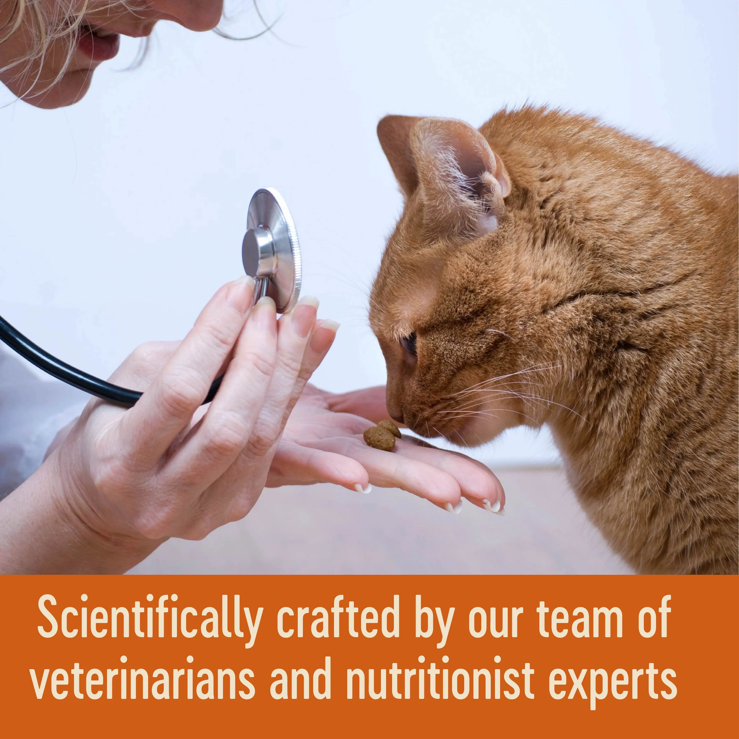Wellness CORE Tender Cuts with Chicken and Salmon in Gravy Wet Cat Food 85g^^^
