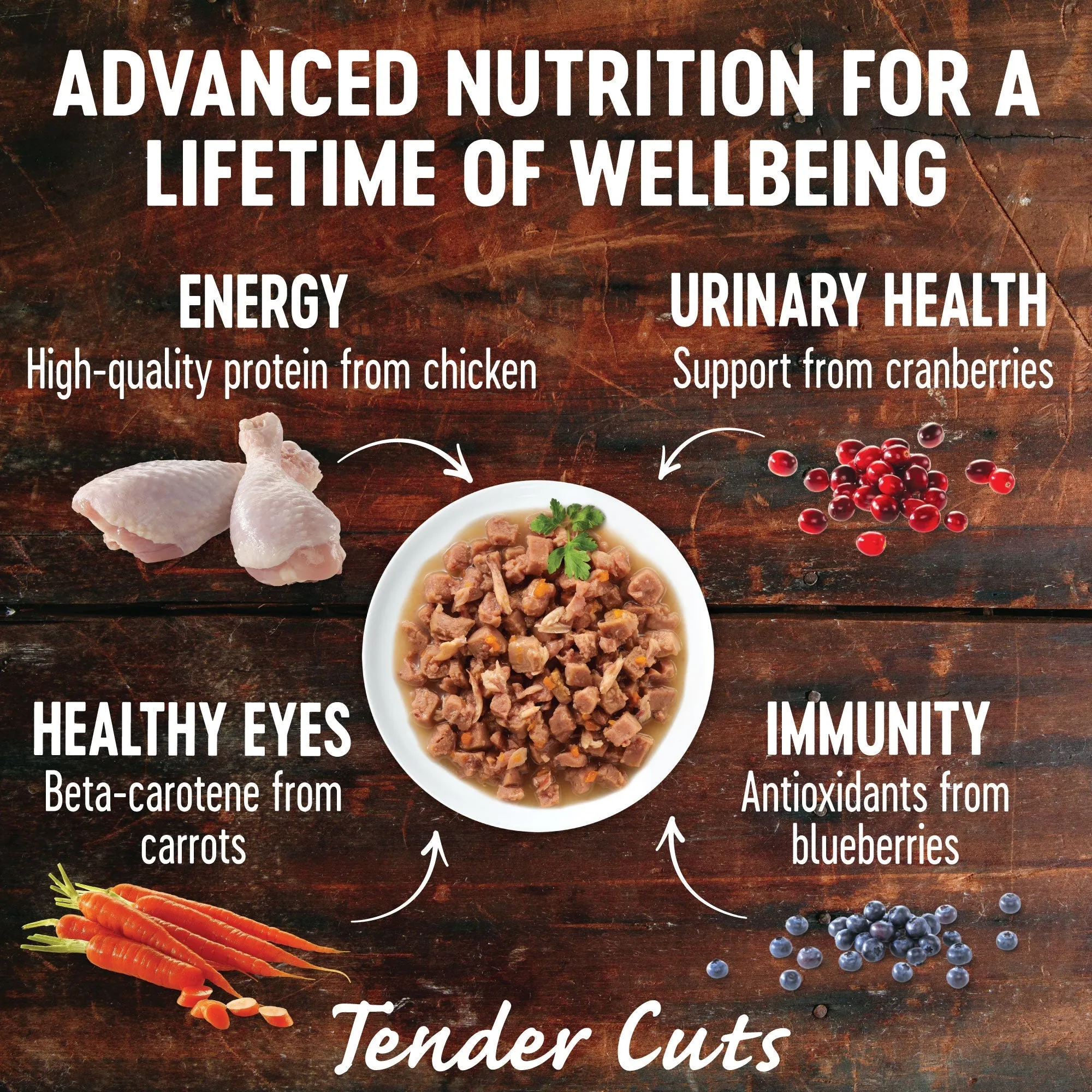 Wellness CORE Tender Cuts with Chicken and Salmon in Gravy Wet Cat Food 85g^^^