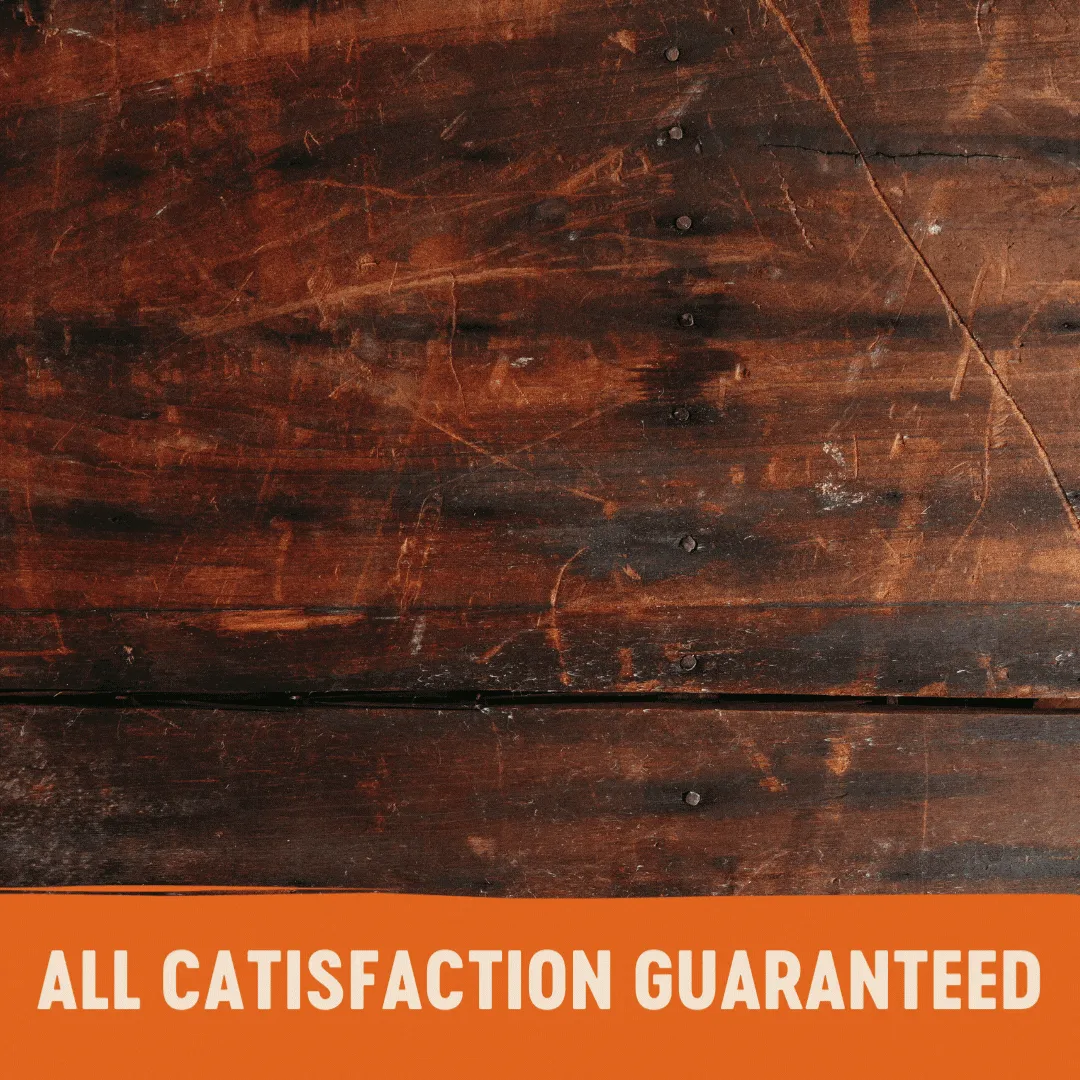 Wellness CORE Tender Cuts with Chicken and Salmon in Gravy Wet Cat Food 85g^^^