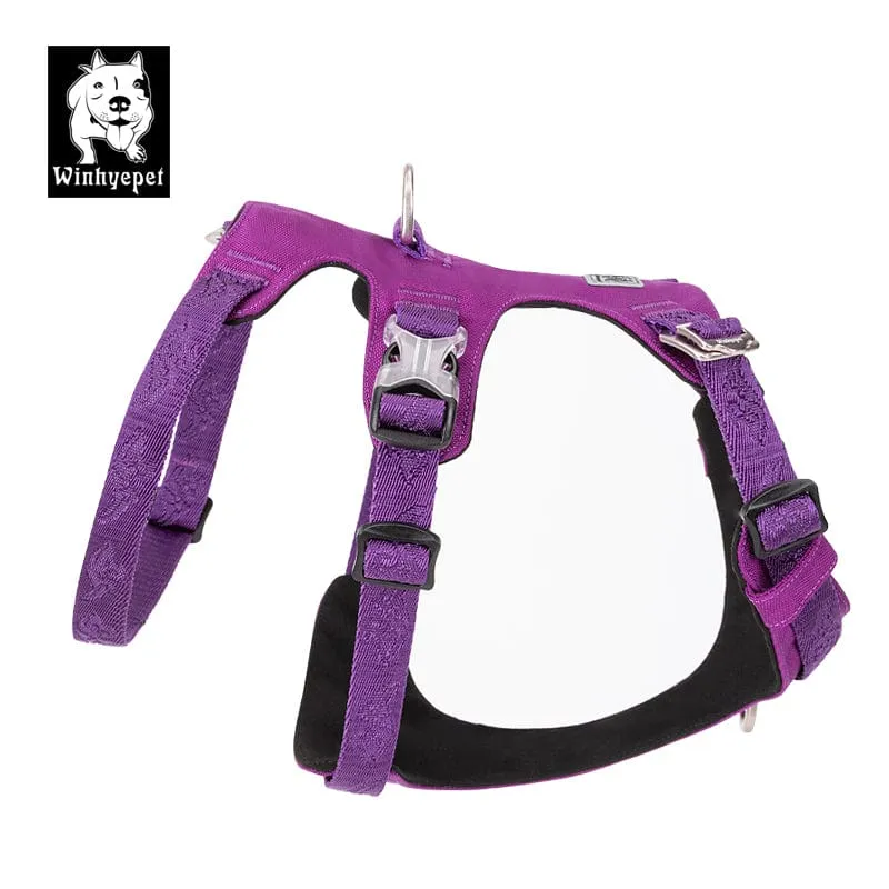 Whinhyepet Dog Harness Purple L
