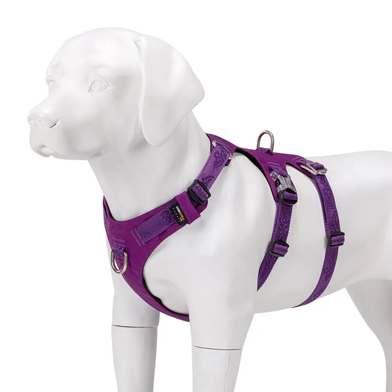 Whinhyepet Dog Harness Purple L