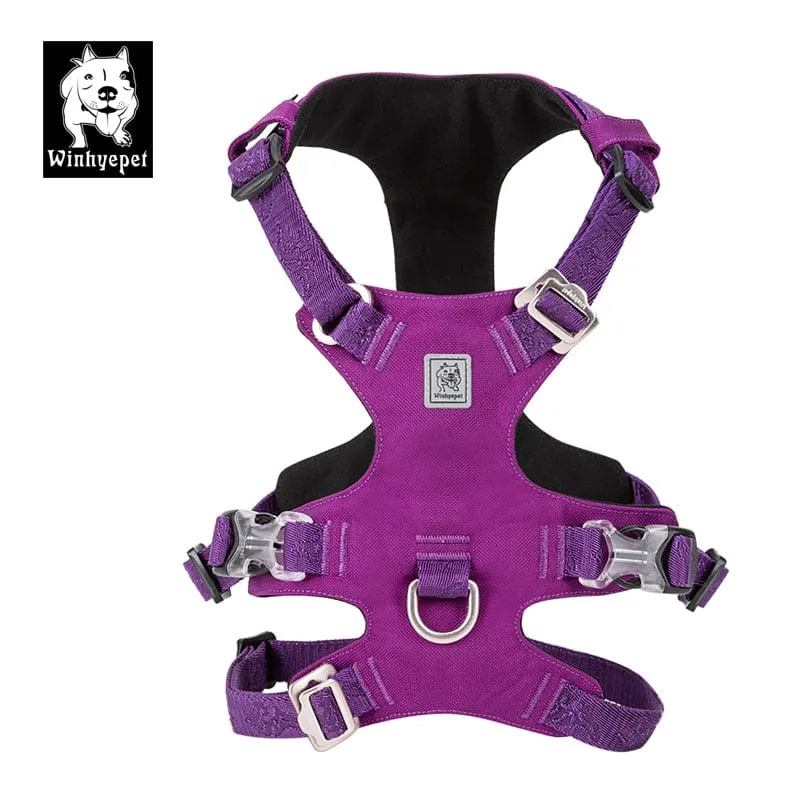 Whinhyepet Dog Harness Purple L