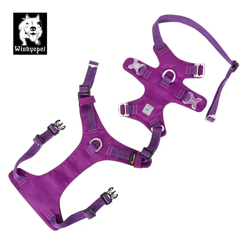 Whinhyepet Dog Harness Purple L