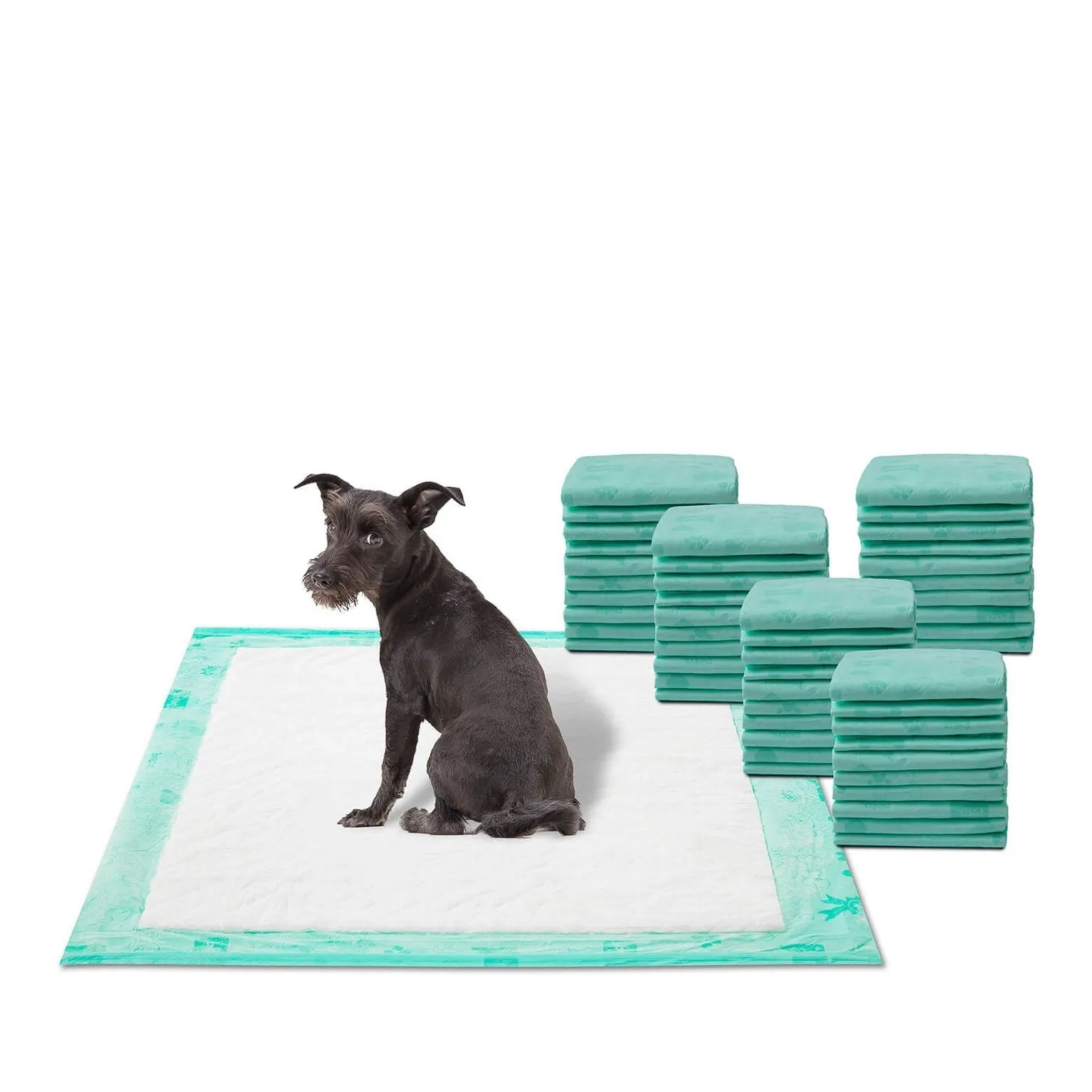 WizSmart Dog and Puppy Training Pads Super