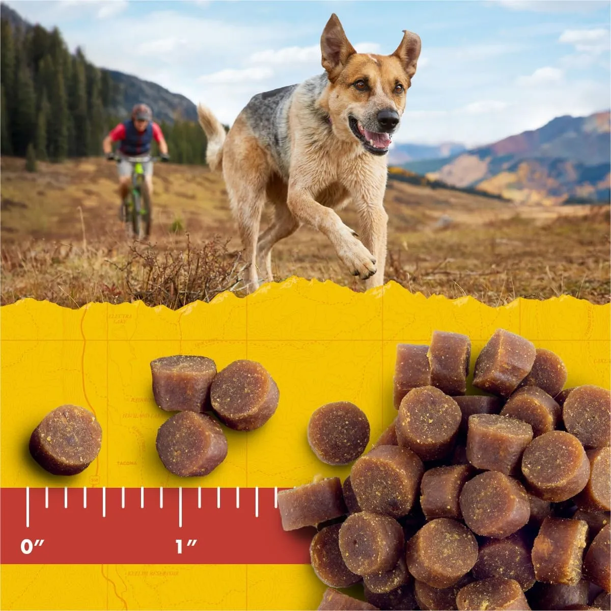 Zuke's Mini Naturals Dog Treats - Peanut Butter & Oats, Soft Chewy Bites, 16oz Pouch