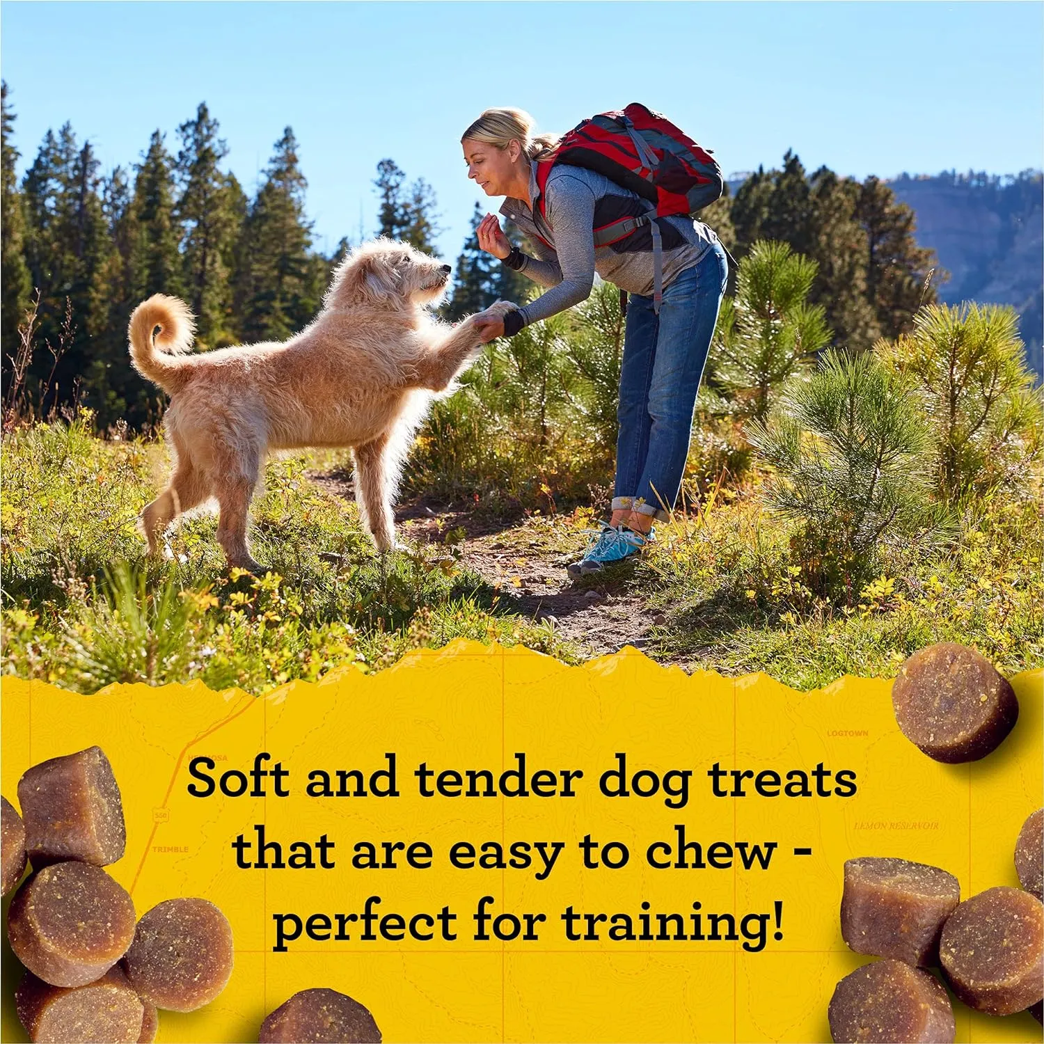 Zuke's Mini Naturals Dog Treats - Peanut Butter & Oats, Soft Chewy Bites, 16oz Pouch