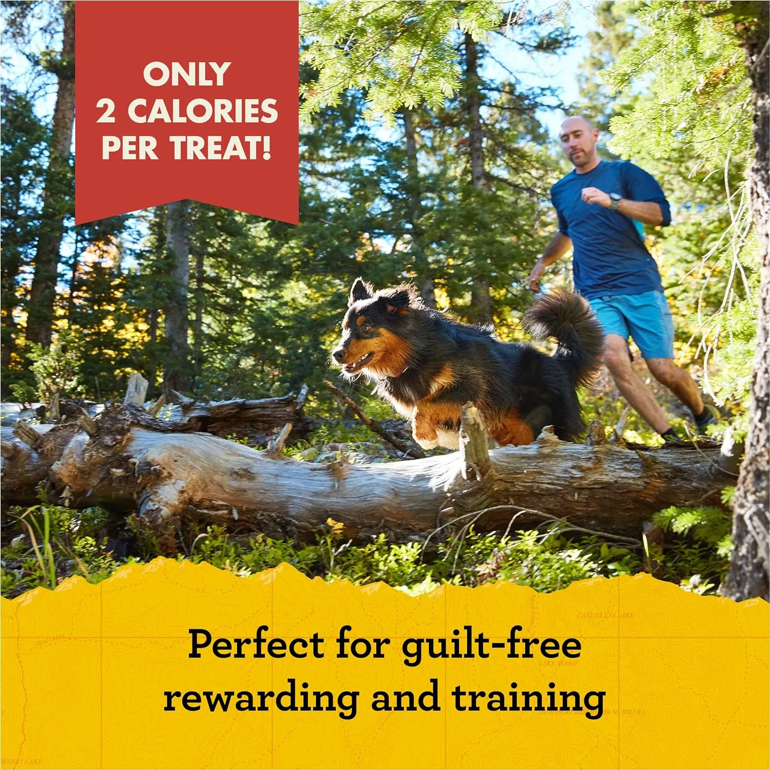 Zuke's Mini Naturals Dog Treats - Peanut Butter & Oats, Soft Chewy Bites, 16oz Pouch